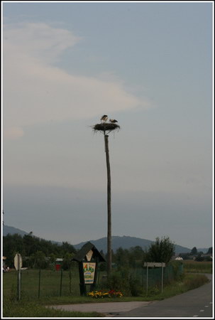 Vhod v kamp