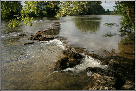 Brzice
