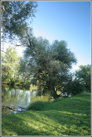Kolpa