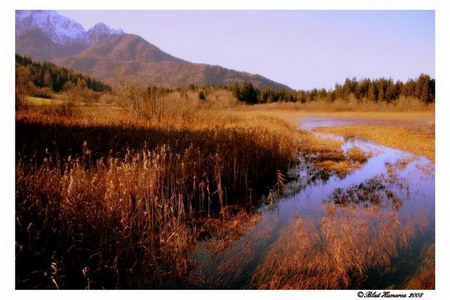 Zelenci