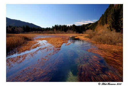 Zelenci 2