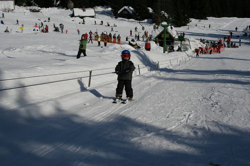 vlecnica