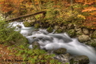 3_resize 3_resize